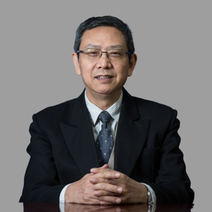 Kang Jia (Honorary Founding Dean, China Academy of New Supply-side Economics)