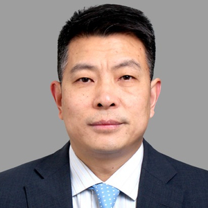 Bo Feng (Executive Vice President and Party Committee Member of China COSCO SHIPPING Corporation Limited (COSCO SHIPPING))