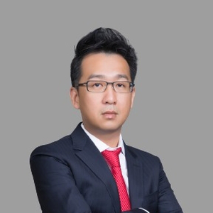 Hao Hong (Chief Economist, GROW Investment Group; Director, China Chief Economist Forum)