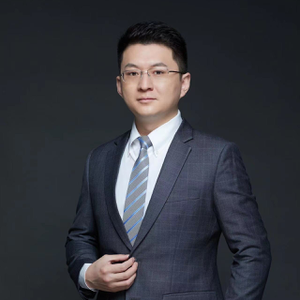 Wang Yu (CO-FOUNDER, CHAIRMAN and CEO, Seetrum)