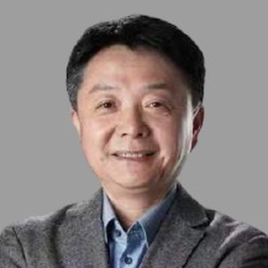 Xiang Wang (Partner, President at Xiaomi Corporation)