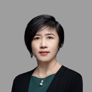 Fanjing Meng (Chief Technology Officer at IBM China System Development Lab)